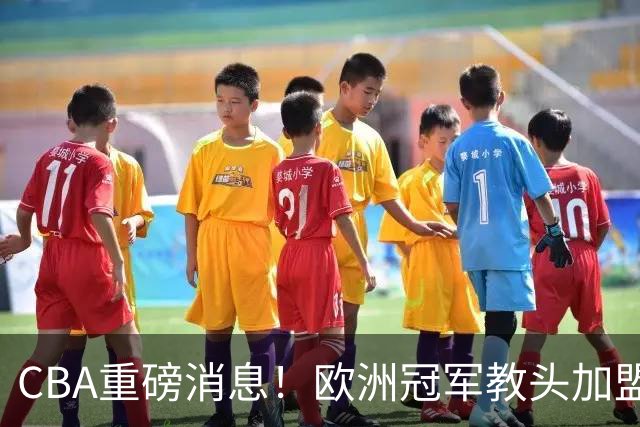CBA重磅消息！欧洲冠军教头加盟广东，石奎正式签约香港金牛，萨姆纳也有可能离开广东，杜锋儿子前往辽宁试训